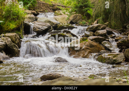 Vistea fiume nei pressi del villaggio con lo stesso nome durante la discesa del picco Moldoveanu, Monti Fagaras, Romania Foto Stock