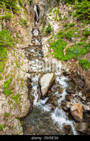 Edith Gorge cade dal Paradise Valley Road a Mount Rainier National Park, Washington, Stati Uniti d'America. Foto Stock