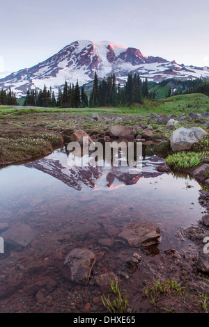 Mount Rainier riflessa in una piscina su Mazama Ridge, il Parco Nazionale del Monte Rainier, la cascata di gamma, Washington, Stati Uniti d'America. Foto Stock