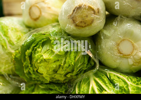 Cavoli cinesi nel supermercato Foto Stock