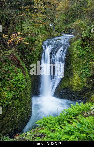 Oneonta cade, Columbia River Gorge National Scenic Area, Oregon. Foto Stock