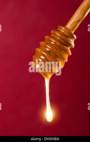 Un cucchiaio di miele su uno sfondo colorato Foto Stock