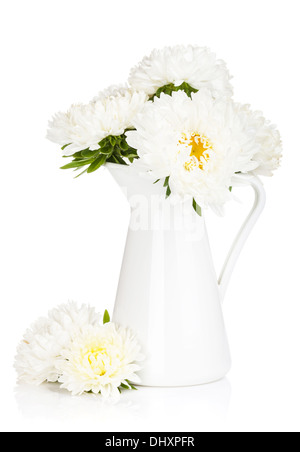 Aster bianco fiori. Isolato su sfondo bianco Foto Stock