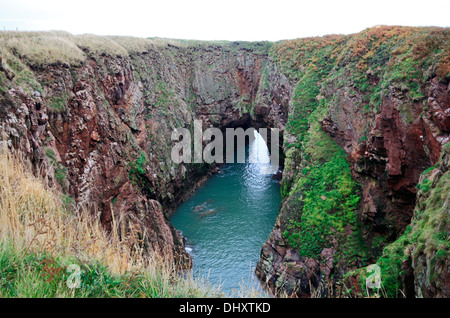 Una vista del crollo di una grotta marina dal sentiero costiero a Bullers di Buchan, Aberdeenshire, Scotland, Regno Unito. Foto Stock