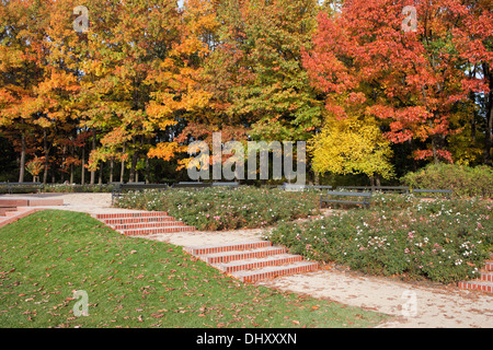 In autunno il Regio Parco Lazienki (Polacco: Lazienki Krolewskie, Parco Lazienkowski), la città di Varsavia, Polonia. Foto Stock