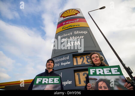 Londra, Regno Unito. Il 16 novembre 2013. Greenpeace giornata di azione globale per liberare l'artico 30 in London Credit: Guy Corbishley/Alamy Live News Foto Stock