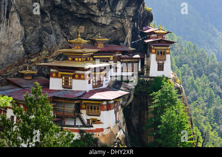 Tiger's Nest,10,180 piedi alto,due ore di escursione,boschi di alberi,nebbie,cliffhanger,pellegrinaggio buddista,molto sacro luogo santo,Paro Bhutan Foto Stock