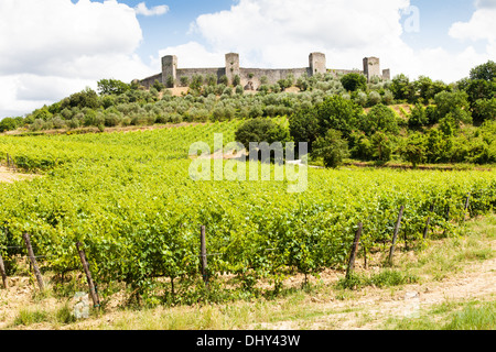 Monteriggioni, Regione Toscana, Italia. Vigneto di fronte le antiche mura medievali Foto Stock