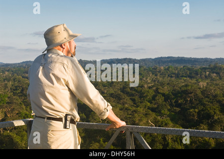 Uomo che guarda oltre la foresta amazzonica da una tettoia tower, Alta Floresta, Mato Grosso, Brasile Foto Stock