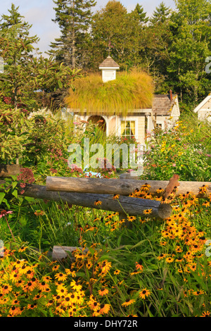 Scoiattolo rosso giardino per bambini, costa del Maine giardini botanici, Boothbay, Maine, Stati Uniti d'America Foto Stock