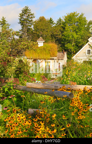 Scoiattolo rosso giardino per bambini, costa del Maine giardini botanici, Boothbay, Maine, Stati Uniti d'America Foto Stock