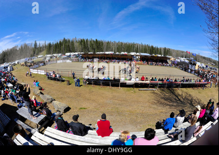 Una vista di fish eye tra un rodeo arena con una punta da trapano di team di eseguire una corsa Foto Stock