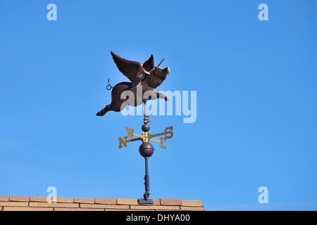 Un Flying Pig banderuola Foto Stock