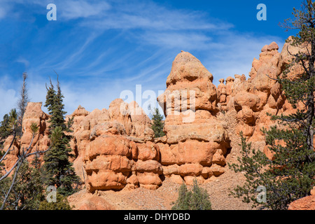 Questi ha eroso le formazioni rocciose a Red Canyon dello Utah, assumere forme strane. Foto Stock