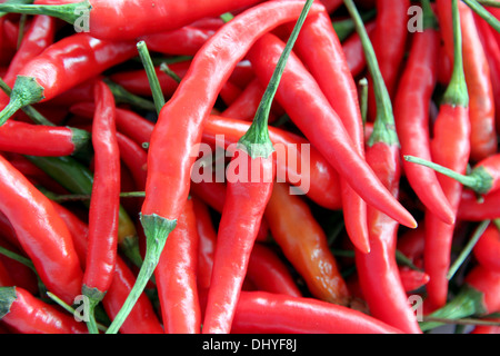 Primo piano immagine un sacco di red hot chili. Foto Stock