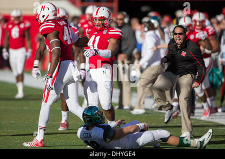 Lincoln, Nebraska, Stati Uniti d'America. Xvi Nov, 2013. Novembre 16, 2013 - Lincoln, NE U.S. - Nebraska Cornhuskers difensivo fine Randy Gregorio #44 si congratula con il compagno di squadra linebacker David Santos #41 dopo il suo sacco di Michigan State Spartans quarterback Connor Cook #18 per una perdita in azione durante un collegio NCAA partita di calcio tra la condizione del Michigan e Nebraska Cornhuskers presso il Memorial Stadium di Lincoln, NE.allenatore della difesa Giovanni Papuchas (mantello nero) reagisce al sacco.di Stato del Michigan ha vinto 41-28.Michael Spomer/Cal Sport Media. Credito: csm/Alamy Live News Foto Stock