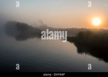 Biebrza - il luogo magico in Polonia Foto Stock