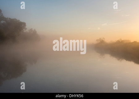 Biebrza - il luogo magico in Polonia Foto Stock