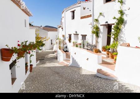 Villaggio Spagnolo di Acebuchal in Andalusia che viene spesso chiamato il villaggio perso Foto Stock