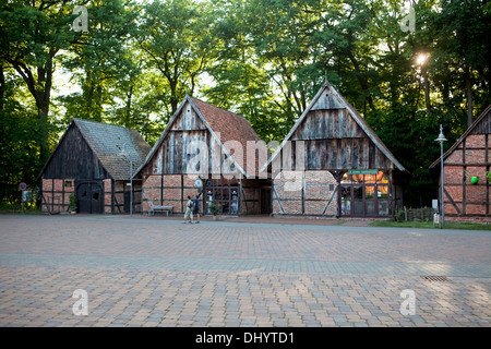 Scheunenviertel, Steinhuder Meer Nature Park, Steinhude Mare, Steinhude, Wunstorf, Bassa Sassonia, Germania, Europa Foto Stock