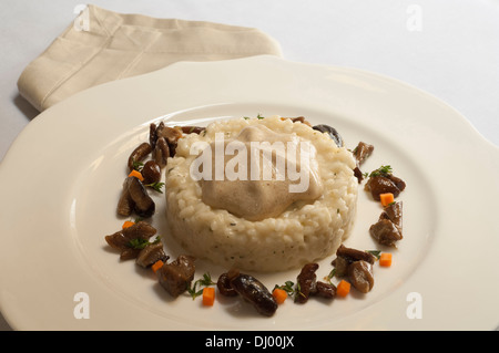 Porcini italiano riso con timo selvatico Foto Stock