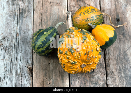 Le zucche su una tavola di legno , backrounds Foto Stock