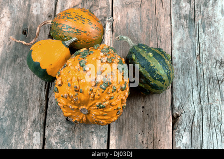 Le zucche su una tavola di legno , backrounds Foto Stock