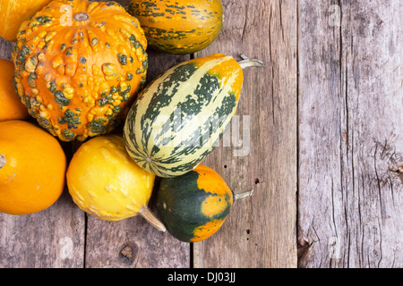 Le zucche su una tavola di legno , backrounds Foto Stock