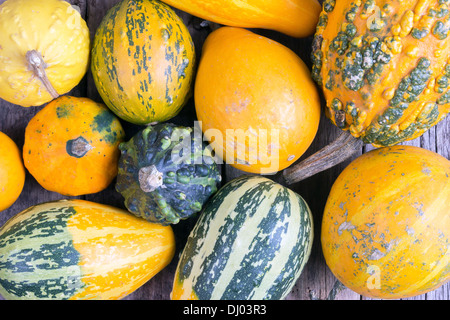 Le zucche su una tavola di legno , backrounds Foto Stock