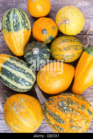 Le zucche su una tavola di legno , backrounds Foto Stock