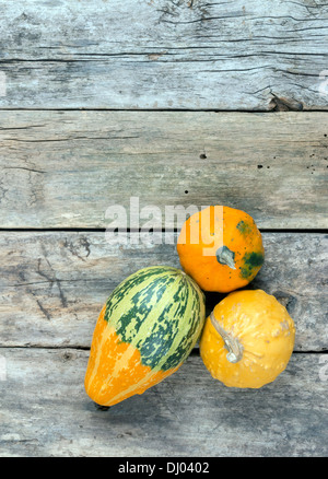 Le zucche su una tavola di legno , backrounds Foto Stock