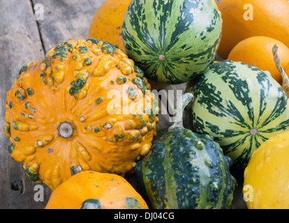 Le zucche su una tavola di legno , backrounds Foto Stock