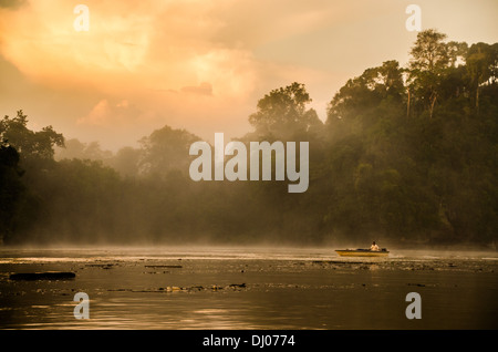 Alba sul fiume Kinabatangan Foto Stock