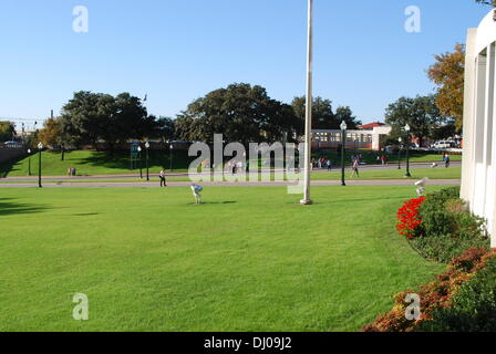 Dealey Plaza Foto Stock