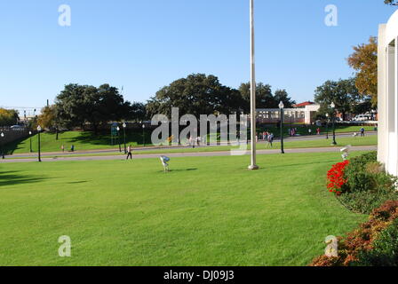 Dealey Plaza Foto Stock