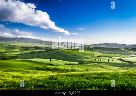Beautiful view of the sunset over the green valley Foto Stock