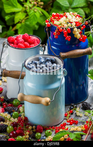 Appena raccolto frutti di bosco frutti in estate Foto Stock