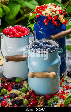 Appena raccolto frutti di bosco frutti in estate Foto Stock