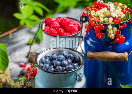 Appena raccolto frutti di bosco frutti in estate Foto Stock