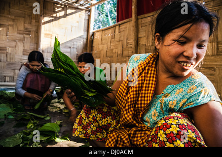 Kashia donne tribali. Lowacherra Riserva Forestale. Area Srimangal, Bangladesh Foto Stock