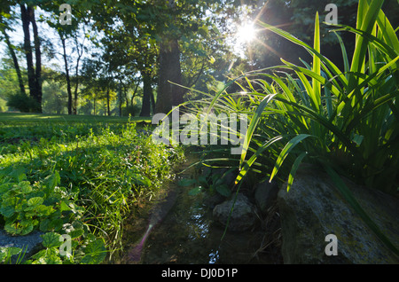 Mattina di sole al parco in una piccola insenatura Foto Stock