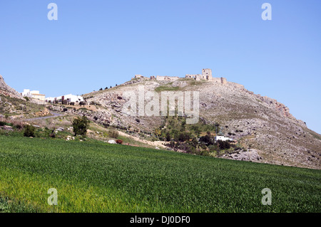 Vista su cornfield immaturo verso il castello sulla collina (Castillo de la Estrella), Teba, Andalusia, Spagna. Foto Stock