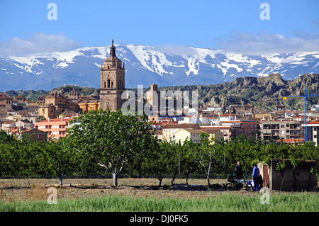 Vista della città e la Cattedrale con le montagne innevate della Sierra Nevada al posteriore, Guadix, Andalusia, Spagna. Foto Stock