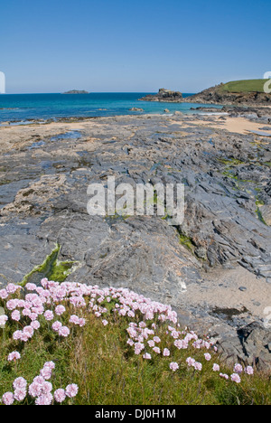 Sulla costa sud occidentale il percorso nei pressi di Quies Bay, Cornwall, guardando a nord-est verso il punto Roundhole Foto Stock