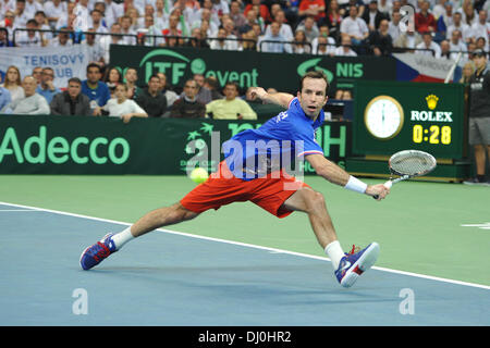 A Belgrado, in Serbia. 17 Nov, 2013. Radek STEPANEK: risultati nei (CZE) durante la Coppa Davis finale tra la Serbia e la Repubblica ceca. © Azione Sport Plus/Alamy Live News Foto Stock