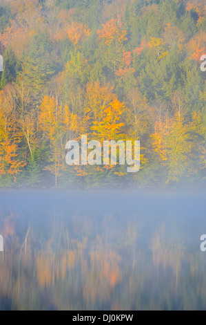 Scendere lungo il San Giovanni Fiume Foto Stock