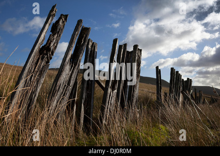 Basso angolo di vista decaduto, marciume staccionata in legno posti; Marcio traversine ferroviarie, Cowgill, Dent villaggio nel sud del distretto dei laghi della Cumbria, Regno Unito Foto Stock