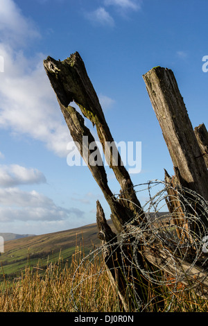 Basso angolo di vista decaduto, marciume staccionata in legno posti; Marcio traversine ferroviarie, Cowgill, Dent villaggio nel sud del distretto dei laghi della Cumbria, Regno Unito Foto Stock