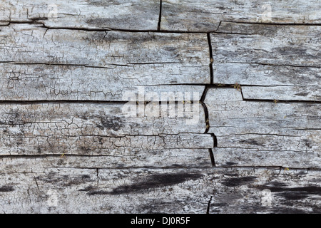 Legno sfondo texture Foto Stock