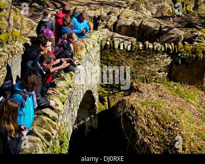 I turisti che si affaccia su un ponte in pietra sopra Aira Force cascata vicino a Ullswater nel Parco Nazionale del Distretto dei Laghi Cumbria Inghilterra England Regno Unito Foto Stock